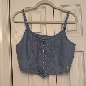 Abercrombie & Fitch Y2K Blue Crop top Moose